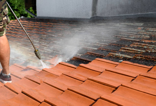 Roof Power Washing Services in Lemoore Station, CA